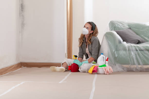 Reliable Commercial Mold Remediation contractor in Peoria, AZ by WQB Mold Removal